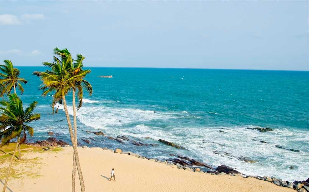 Palms and surf on the Ghanaian coast