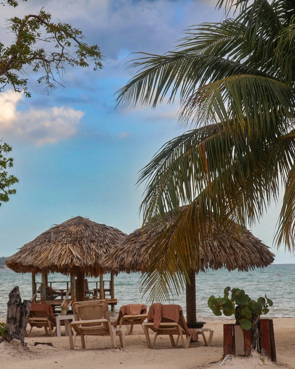 Thatched beach cabanas under a palm on a calm Jamaican shore